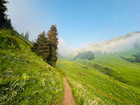 Discover Harmony in Hillside Hideaways