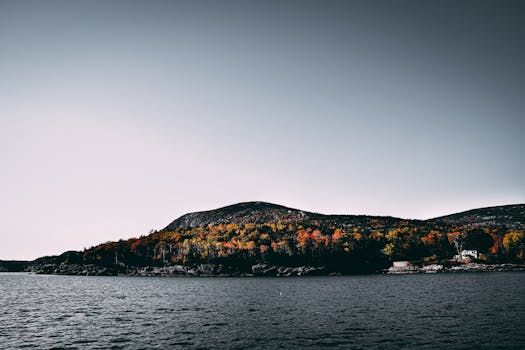 Stay at the Intersection of Stillness and Splendor