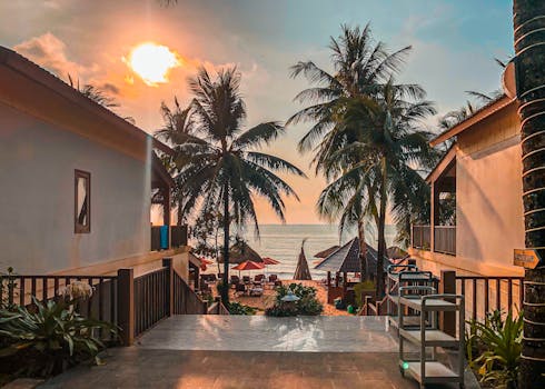 Stay in Villas Surrounded by Peace and Palm Trees